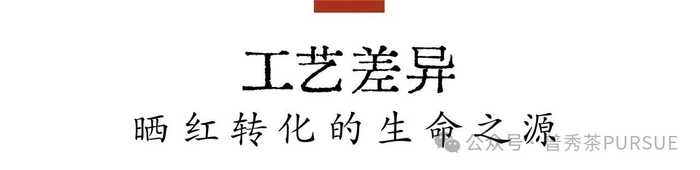 古树晒红茶越陈越香的秘密,打破传统红茶保质期桎梏 晒红茶的保质期