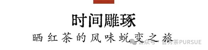 古树晒红茶越陈越香的秘密,打破传统红茶保质期桎梏 晒红茶的保质期