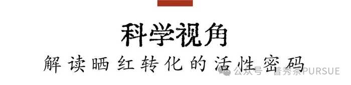 古树晒红茶越陈越香的秘密,打破传统红茶保质期桎梏 晒红茶的保质期