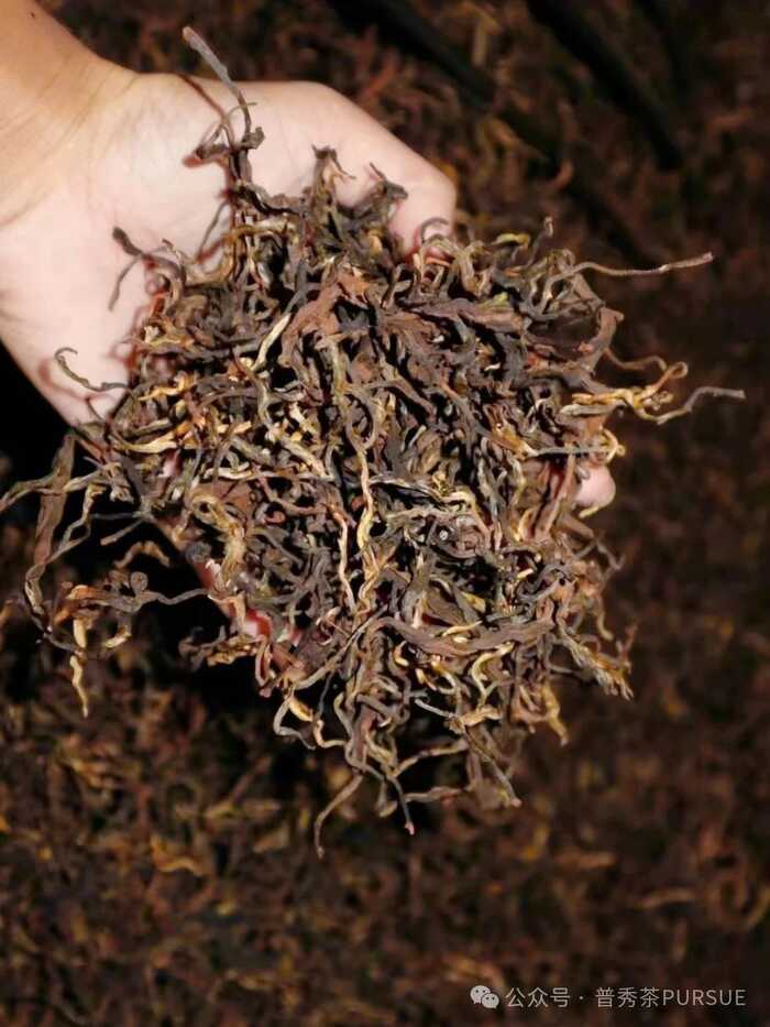 古树晒红茶越陈越香的秘密,打破传统红茶保质期桎梏 晒红茶的保质期