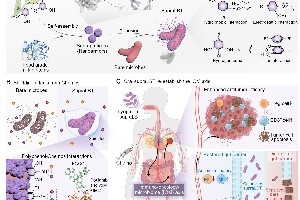 茶多酚盔甲益生菌突破癌症化疗难题显著提升治疗效果 茶多酚盔甲益生菌突破癌症化疗难题显著提升治疗效果