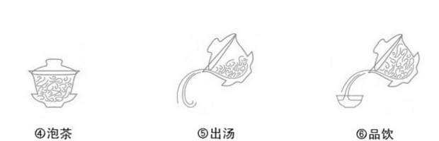 七子饼茶品茗指南2.png 七子饼茶品茗指南2.png