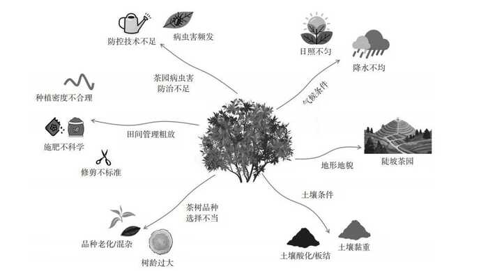2025年农业主推技术发布,生态高效茶园建设助力产业升级 低产低效茶园改造技术研究