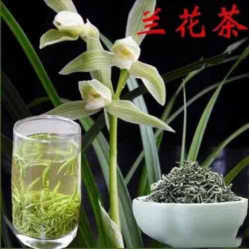 兰花茶不能适用代用茶标准 原因解析 brand_alt_mark