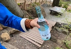 商标无效宣告案成功应对策略与答辩技巧分析 brand_alt_mark