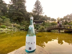 商标无效宣告案成功应对策略与答辩技巧分析 brand_alt_mark