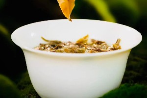 普洱茶叶底藏着的秘密,学会观察茶叶品质真相 普洱茶叶底藏着的秘密,学会观察茶叶品质真相