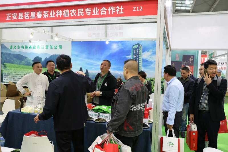 正安白茶深圳茶博会大获成功,品鉴招商双丰收 brand_alt_mark