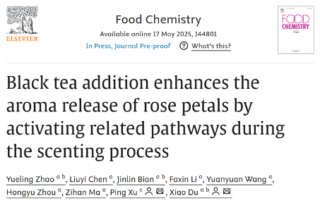 玫瑰红茶窨制工艺优化 花香物质富集关键技术突破 四川农业大学杜晓教授团队Food Chemistry成果:红茶窨制激活代谢途径提升玫瑰花香释放的关键机制