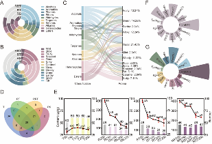 玫瑰红茶窨制工艺优化 花香物质富集关键技术突破 四川农业大学杜晓教授团队Food Chemistry成果:红茶窨制激活代谢途径提升玫瑰花香释放的关键机制