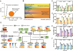 玫瑰红茶窨制工艺优化 花香物质富集关键技术突破 四川农业大学杜晓教授团队Food Chemistry成果:红茶窨制激活代谢途径提升玫瑰花香释放的关键机制