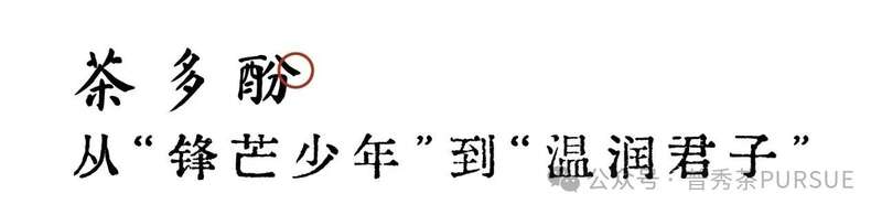 普洱茶新陈转化的科学奥秘:新茶如何蜕变醇香老茶 茶理研究 普洱茶越陈越香的秘密