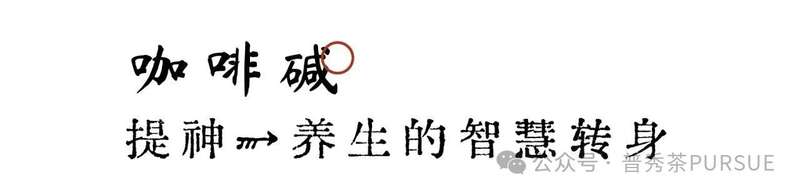 普洱茶新陈转化的科学奥秘:新茶如何蜕变醇香老茶 茶理研究 普洱茶越陈越香的秘密