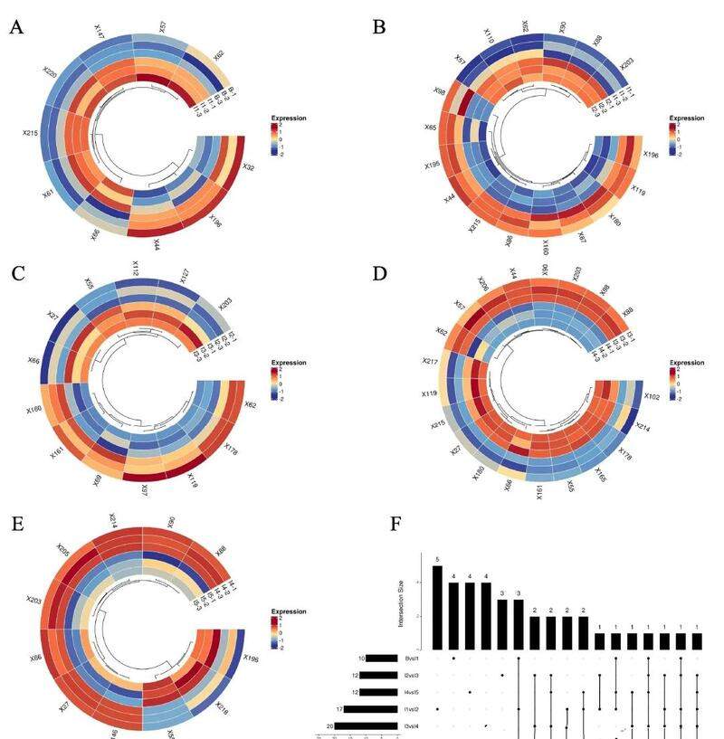 碎绿茶窨花工艺优化研究揭示最佳窨制时间提升品质机理 代谢组学解析茶、花分离窨花(isolated scenting)对碎绿茶滋味的影响