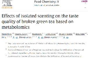 碎绿茶窨花工艺优化研究揭示最佳窨制时间提升品质机理