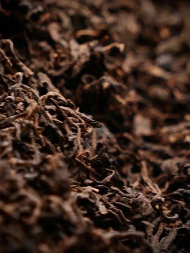 你喝的普洱熟茶 会苦吗？