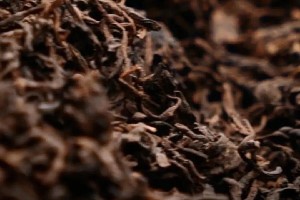 普洱熟茶苦味成因解析：发酵工艺与原料特性的双重影响