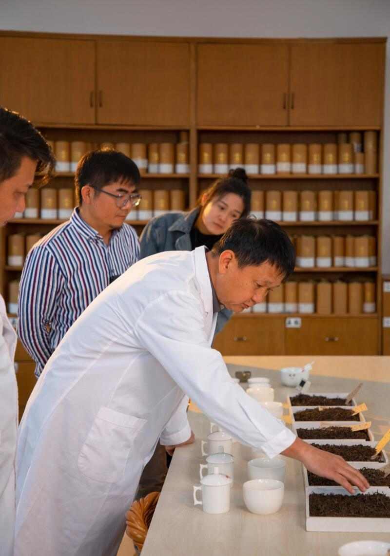 普洱茶纯料与拼配之争:两种美学价值的理性分析 拼配与纯料茶:不是对立而是互补