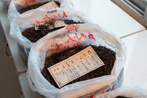 普洱茶纯料与拼配之争：两种美学价值的理性分析