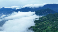 探秘蒙顶山茶非遗制作技艺,千年茶文化传承魅力 跟着赛事看非遗:蒙顶山茶来助力!!(2)
