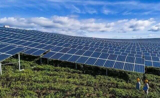 光伏茶园技术发展前景分析:发电与茶叶种植双重收益模式 茶园光伏技术应用研究进展与展望