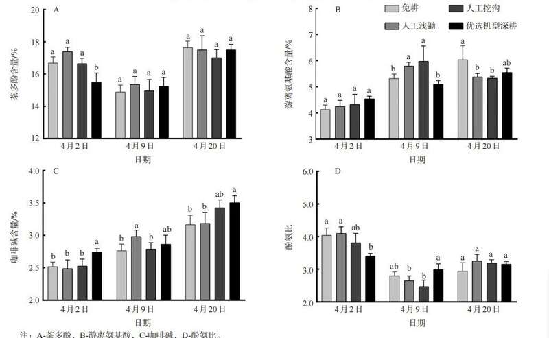 选用哪种耕作方式有利于提升春茶品质？