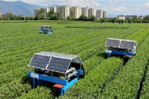 名优茶采摘技术装备研究现状与发展趋势分析