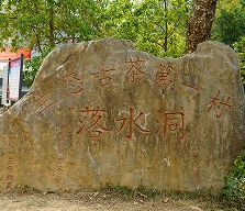落水洞台地茶的独特魅力:溶洞暗河滋养的易武茶香 易武茶区落水洞的台地茶之谜