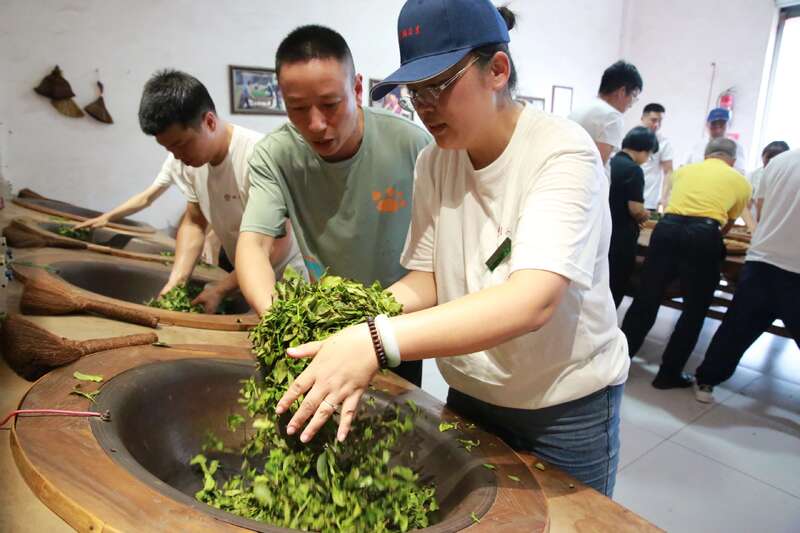 武夷岩茶加工工艺与品质特点解析 武夷岩茶的品质及加工技术研究进展