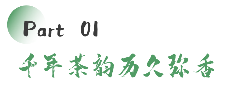 雅安茶文化探秘:从千年蒙顶山茶到春季采茶体验 来不来雅安喝茶?回答我!