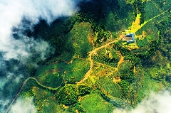 雅安茶文化探秘:从千年蒙顶山茶到春季采茶体验 来不来雅安喝茶?回答我!