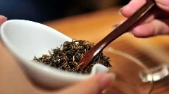 雅安茶文化探秘:从千年蒙顶山茶到春季采茶体验 来不来雅安喝茶?回答我!