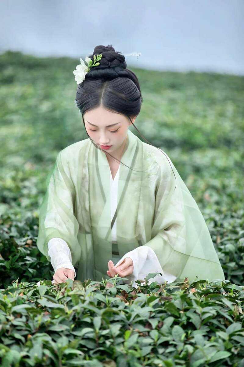 雅安茶文化探秘:从千年蒙顶山茶到春季采茶体验 来不来雅安喝茶?回答我!