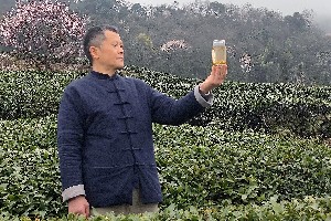 蒙顶黄芽制作工艺揭秘：三黄三香三甜的独特魅力