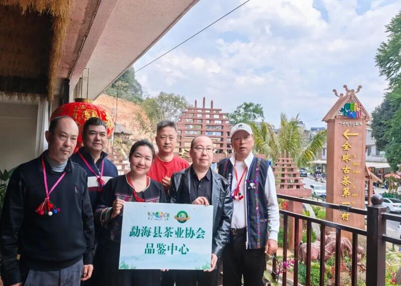 南糯山古茶树开采仪式举行 茶文化传承与保护并重 全球古茶第一村南糯山800多年茶王开采仪式:探寻千年古茶魅力,共赴春日茶韵之约