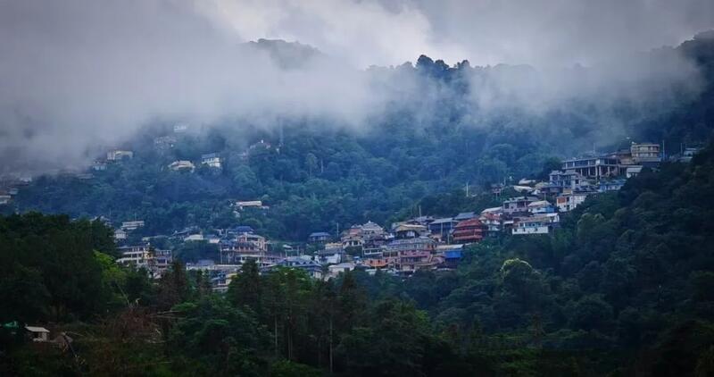 南糯山古茶树开采仪式举行 茶文化传承与保护并重 全球古茶第一村南糯山800多年茶王开采仪式:探寻千年古茶魅力,共赴春日茶韵之约