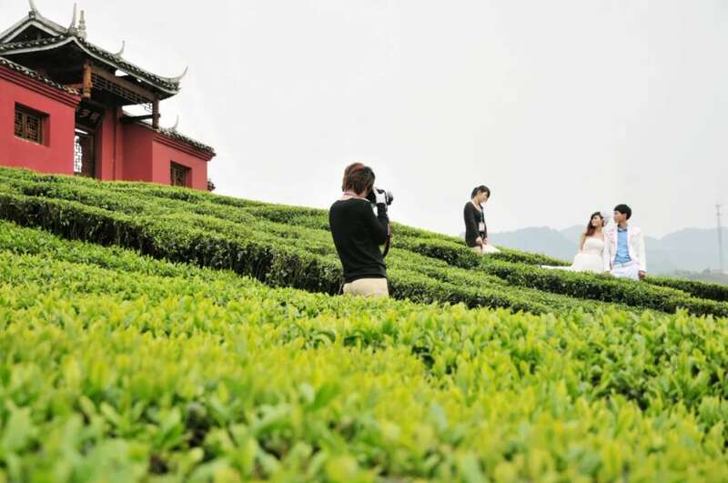 全国独一份！恩施市成为“蒸青茶传承保护核心区”！