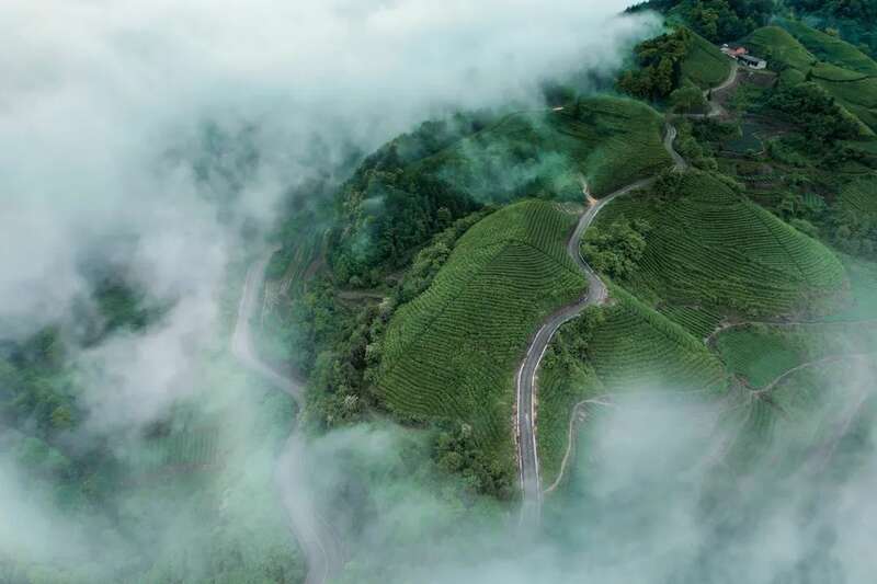 贵州湄潭万亩茶园:云雾缭绕的茶海仙境与文化传承 湄潭:贵州高原上的茶叶奇迹