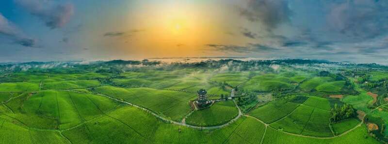 贵州湄潭万亩茶园:云雾缭绕的茶海仙境与文化传承 湄潭:贵州高原上的茶叶奇迹