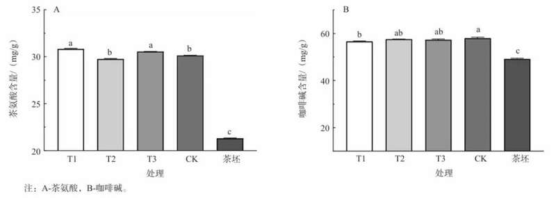 茉莉花茶低温长窨工艺突破传统制作瓶颈,提升品质新标准 传统工艺耗时耗力,茉莉花茶窨制如何焕发新生?