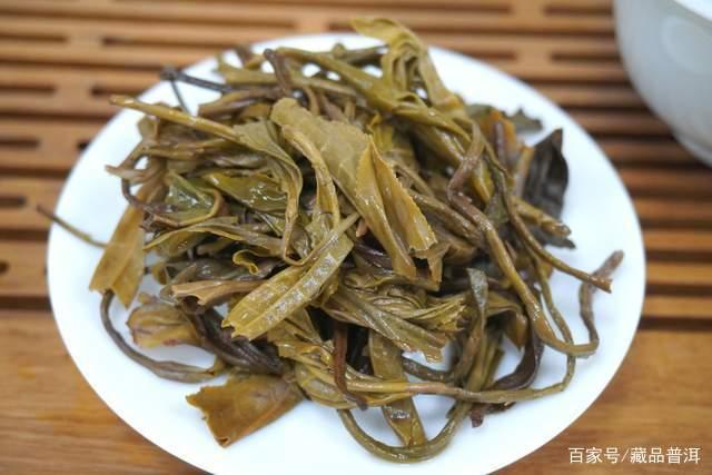 新生普洱茶如何判断陈化潜力?四个关键指标助你选对茶 新生普洱茶如何判断陈化潜力?四个关键指标助你选对茶