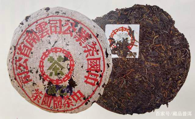 蓝印普洱茶的传奇历程与收藏价值解析 蓝印普洱茶的传奇历程与收藏价值解析