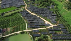 板下种茶，板上发电，“茶光互补”助推大别山腹地乡村振兴