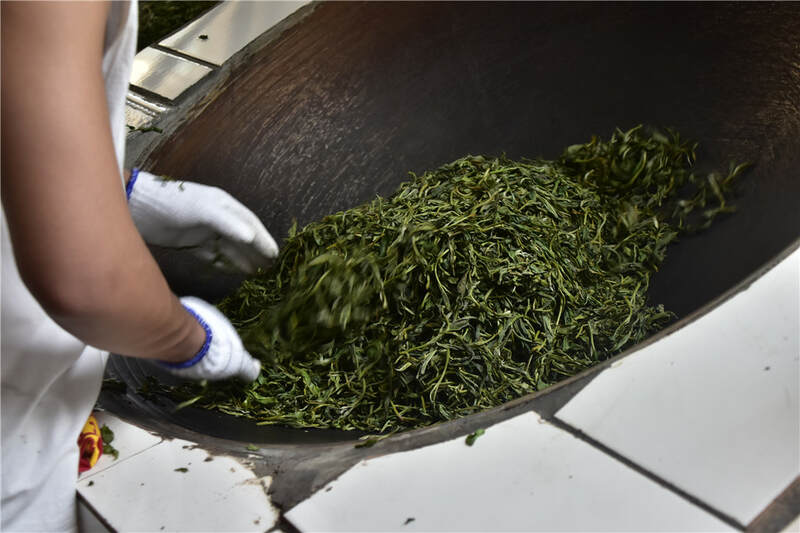 2025年春茶市场深度解析:崩盘传言背后的真相与机遇 今年普洱茶真的会崩盘吗?答疑兼谈春茶