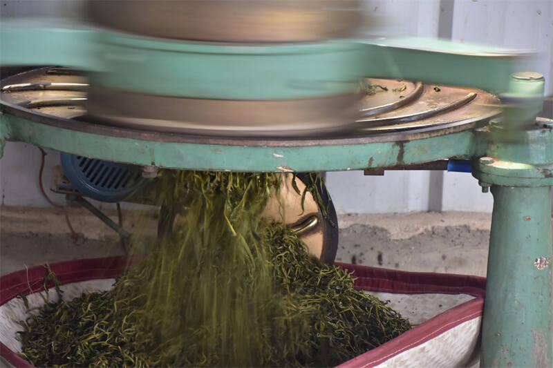 制茶界独孤求败：茶农自认工艺天下第一，但茶商已改用机器炒茶！