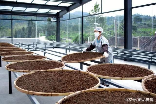 普洱茶中期茶选购指南:10-20年陈化价值解析 普洱茶中期茶选购指南:10-20年陈化价值解析