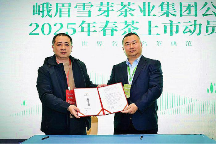 峨眉雪芽春茶新品上市,高山林间茶引领市场新潮流 品牌新力量共绘新蓝图峨眉雪芽吹响2025年春茶上市冲锋号