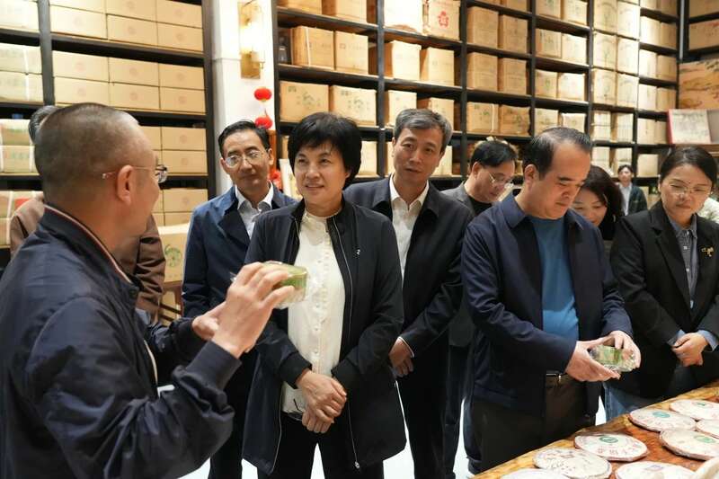 省人大调研组赴东莞万江考察茶产业发展情况 省人大常委会调研组赴万江开展茶产业调研