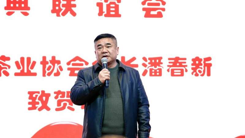 常德市茶文化促进会举办5周年庆典 推动茶产业高质量发展 茶韵飘香,薪火相传!这场庆典推动常德茶产业高质量发展