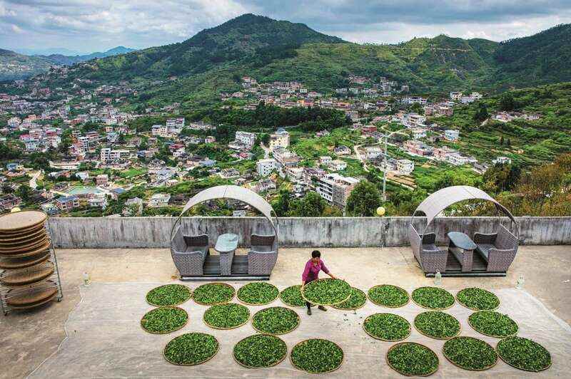 福建省安溪县：科技创新 助推茶产业高质量发展